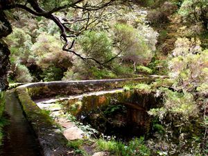 Levada