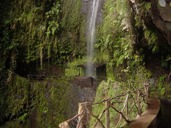 Ribeira da Janela - Waterfall
