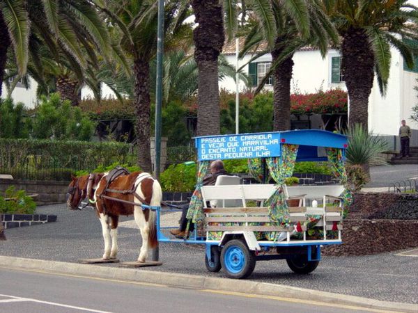 Kutsche auf Porto Santo