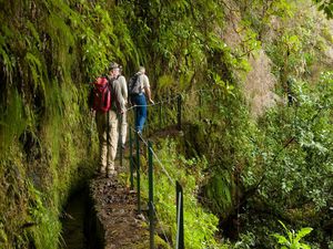 Levada Walking