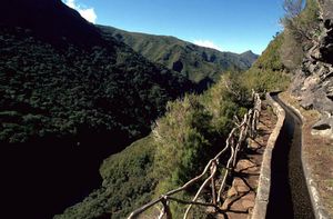 Levada in Rabaçal