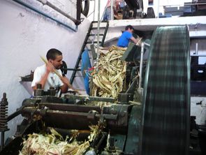 Arbeiter in der Zuckerrohrfabrik