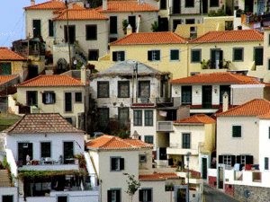 Camara de Lobos