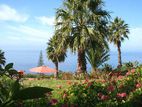 Hotel Quinta Alegre - Sea View