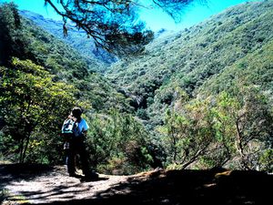 Rabaçal Levada