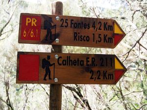 Walking in Madeira